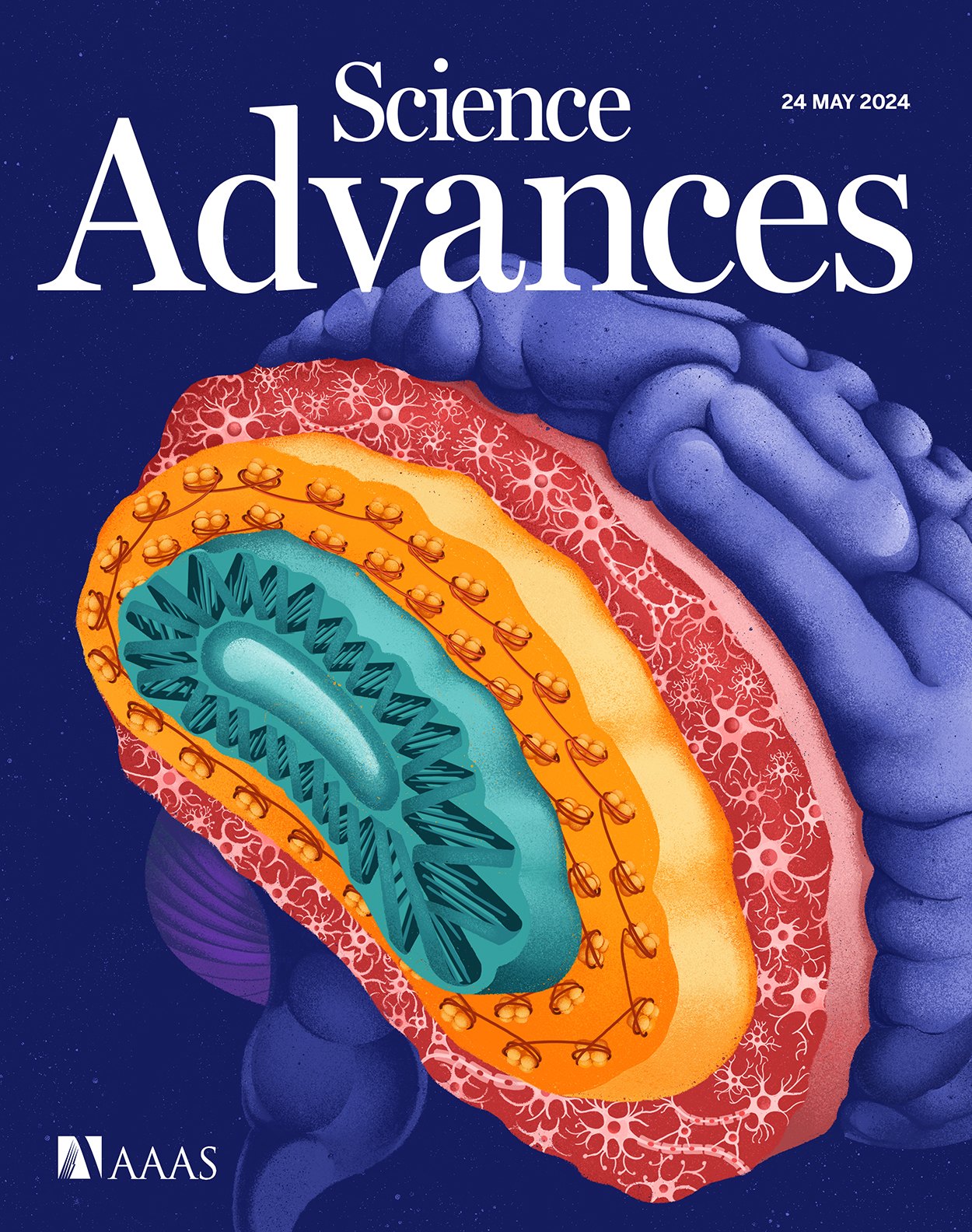 Portada de la revista científica Science Advances de 2024