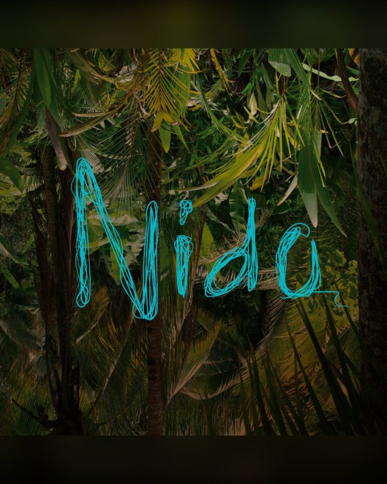Nido