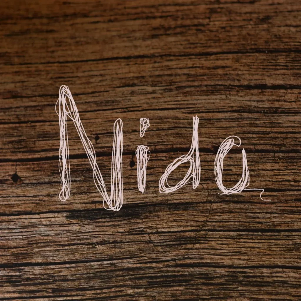 Cartel de NIDO