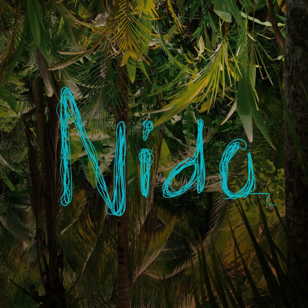 Cartel de NIDO (SUMMER CLOSING)